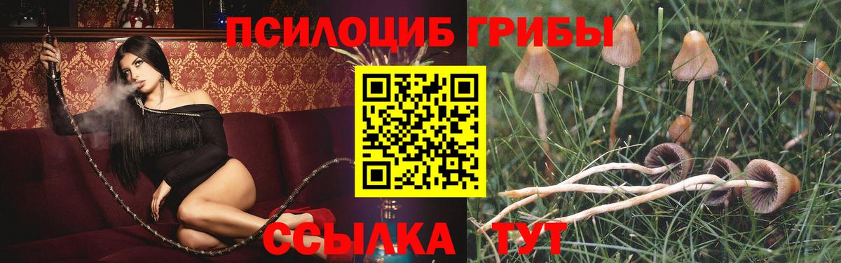 Галлюциногенные грибы мицелий  Вход с VPN  Галлюциногенные грибы Magic Shrooms  купить  цена  Дивногорск 
