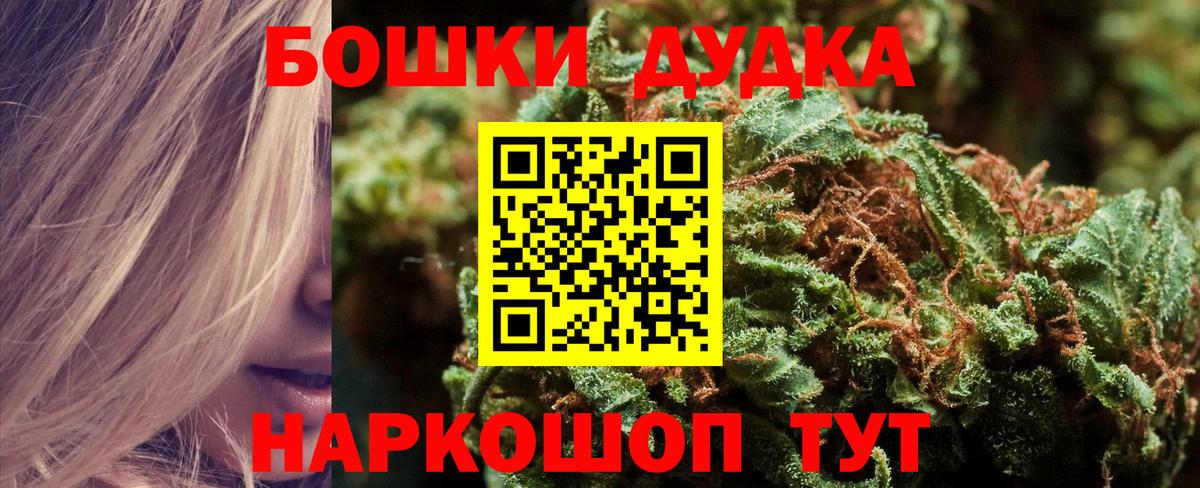 Каннабис сатива Дивногорск